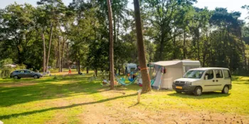Emplacement - Emplacement 100 M2 - Camping Goolderheide