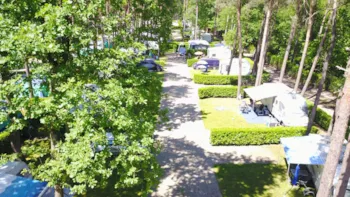 Emplacement - Emplacement Confort 150 M2 - Camping Goolderheide