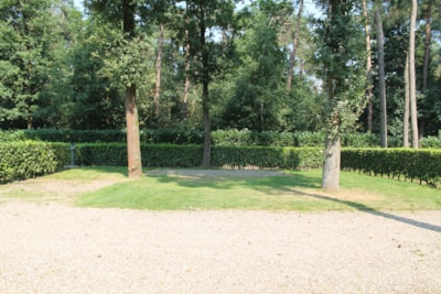 Pitch comfort 150 m2 — 2