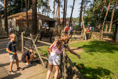Camping Goolderheide