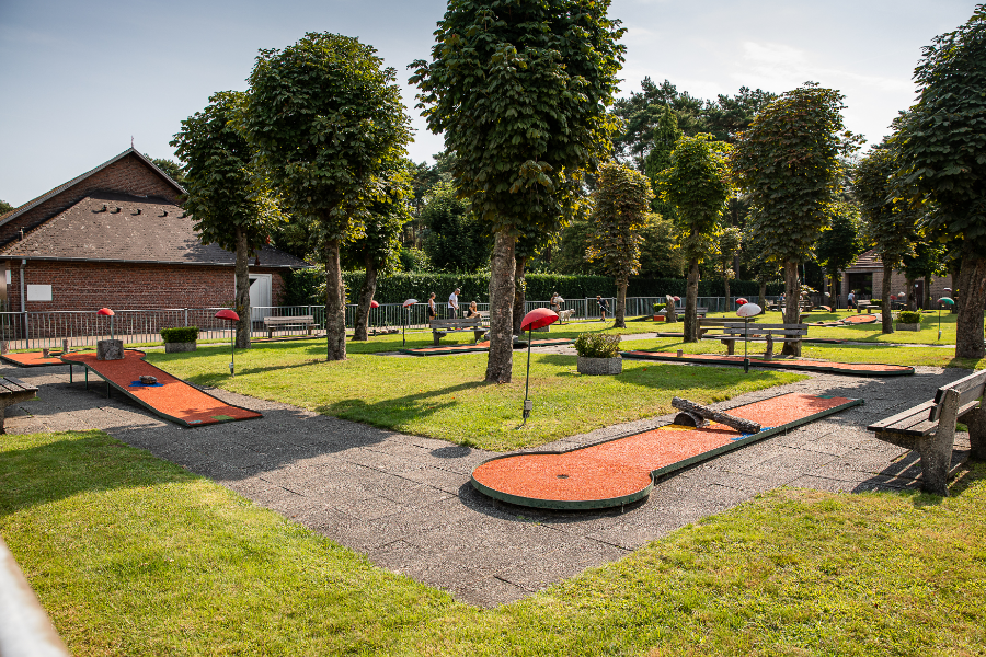 Camping Goolderheide — Foto 4