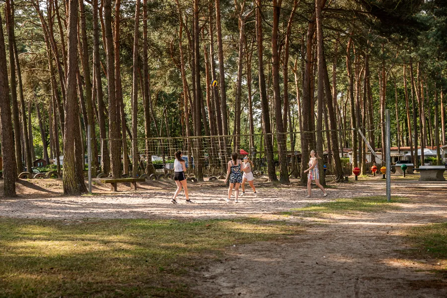 Camping Goolderheide