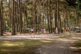 Foto #20 van Camping Goolderheide