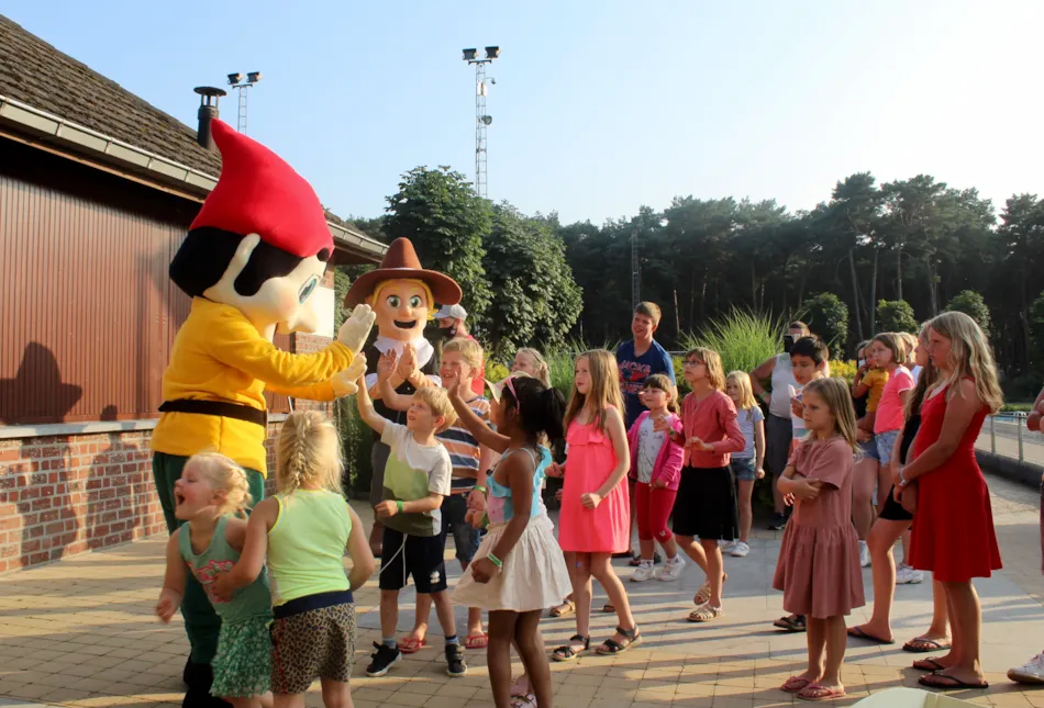 Camping Goolderheide