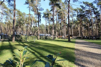 Plus Pitch — 2