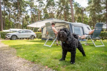 Emplacement - Emplacement Confort Plus 150 M2 - Camping Goolderheide
