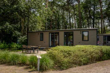 Location - Mobil-Home De Luxe Pour 6 Personnes - Camping Goolderheide