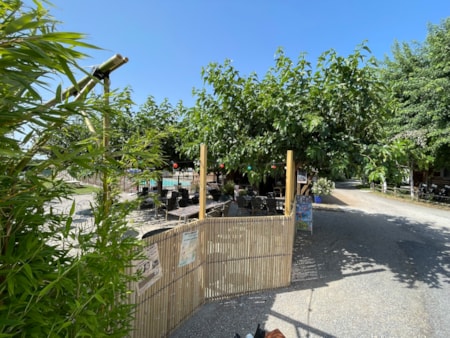 Flower Camping Saint Martin