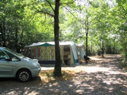 Forfait Privilege 110 - 120M² + Elektriciteit 10 Amp + Voertuig + Tent / Caravan