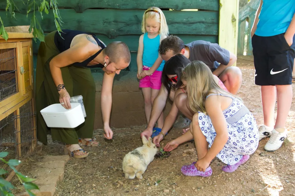 Camping les Monts d'Albi