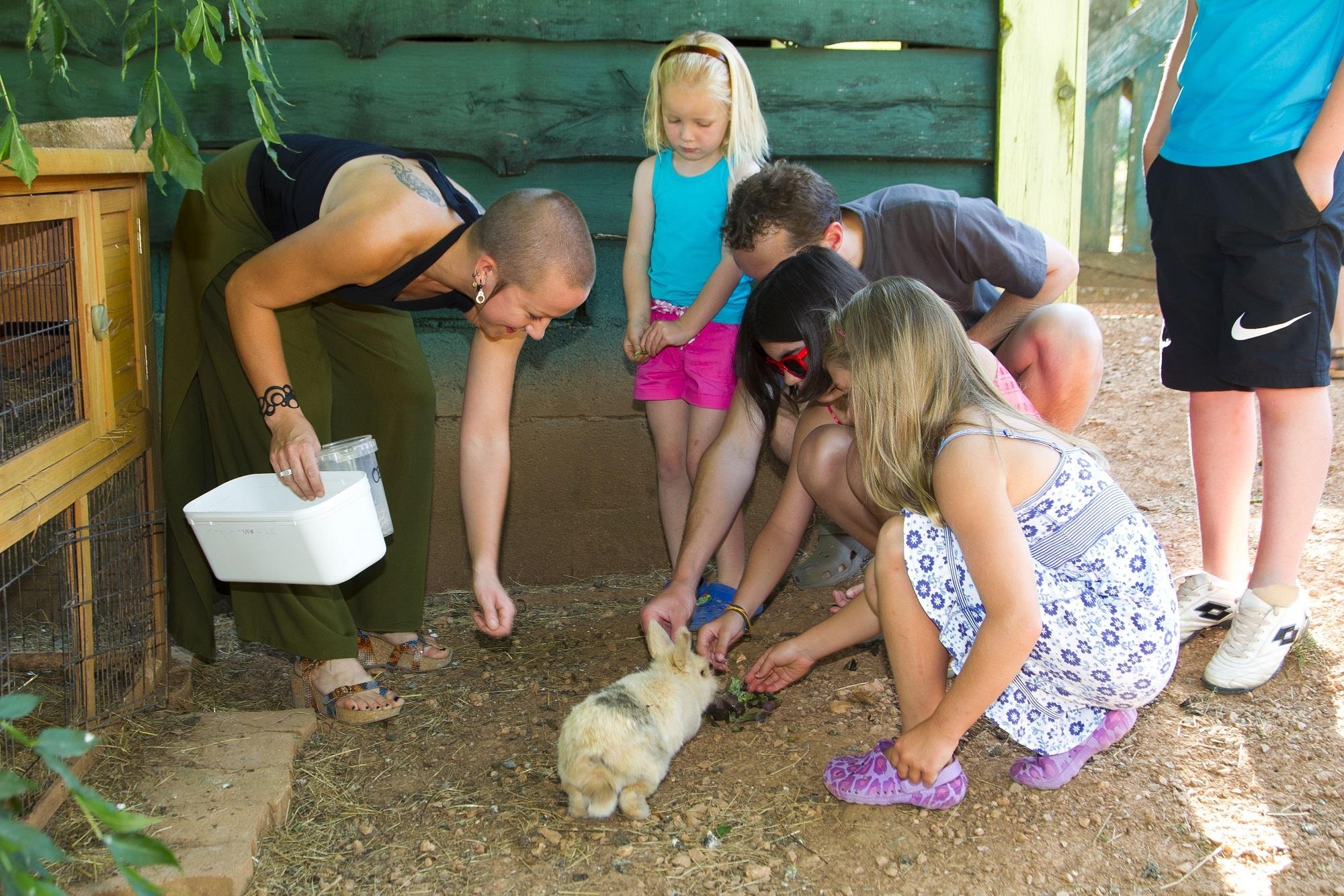 Camping les Monts d'Albi — Photo 4