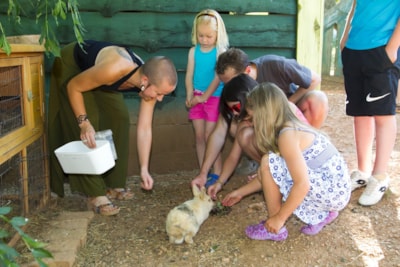 Camping les Monts d'Albi
