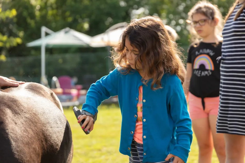 Camping les Monts d'Albi