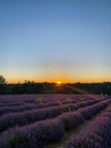 Foto #15 van Camping L’Emeraude du Verdon (anc.SaintLazare)