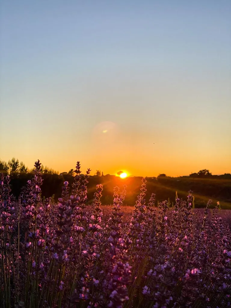 Camping L'Emeraude du Verdon  - image n°12 - UniversalBooking