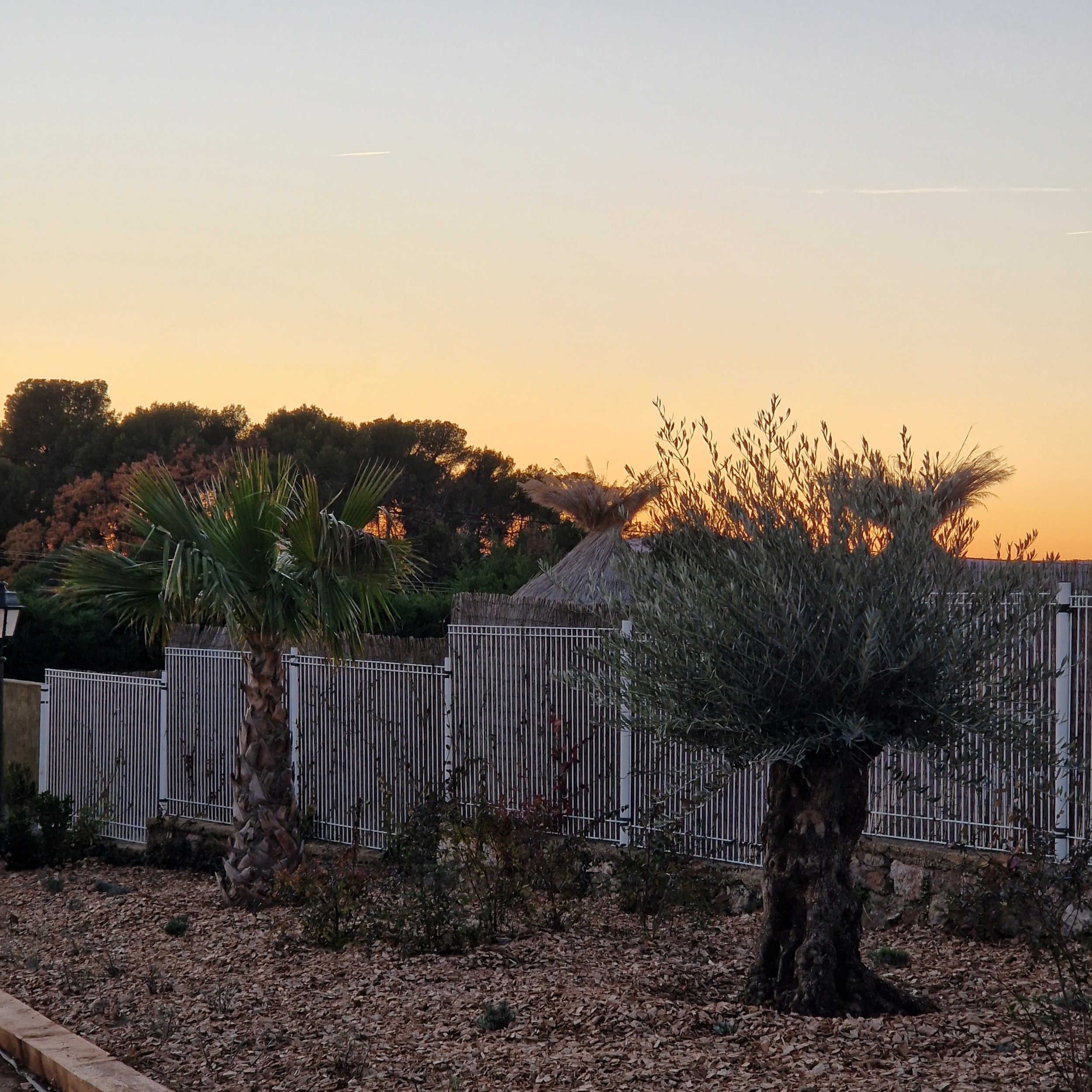 Camping L'Emeraude du Verdon  — Photo 1