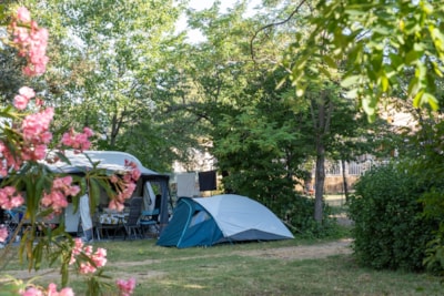 Pitch + vehicle + tent/caravan/motor home — 1