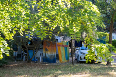 Pitch + vehicle + tent/caravan/motor home — 2