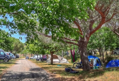 Camping package (pitch, 2 people, 1 vehicle) — 4