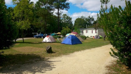 Camping L'Orée du Bois