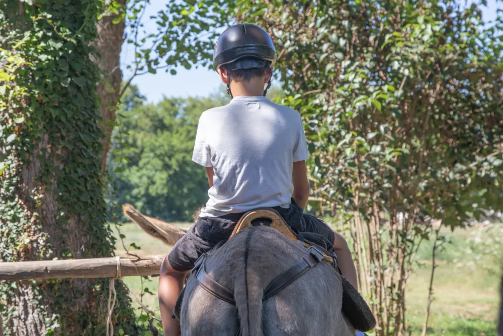 Camping Merendella