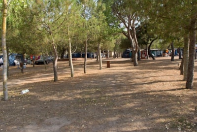 Pitch Confort (70-75m²): car + tent/caravan or camping-car + electricity + wifi — 5