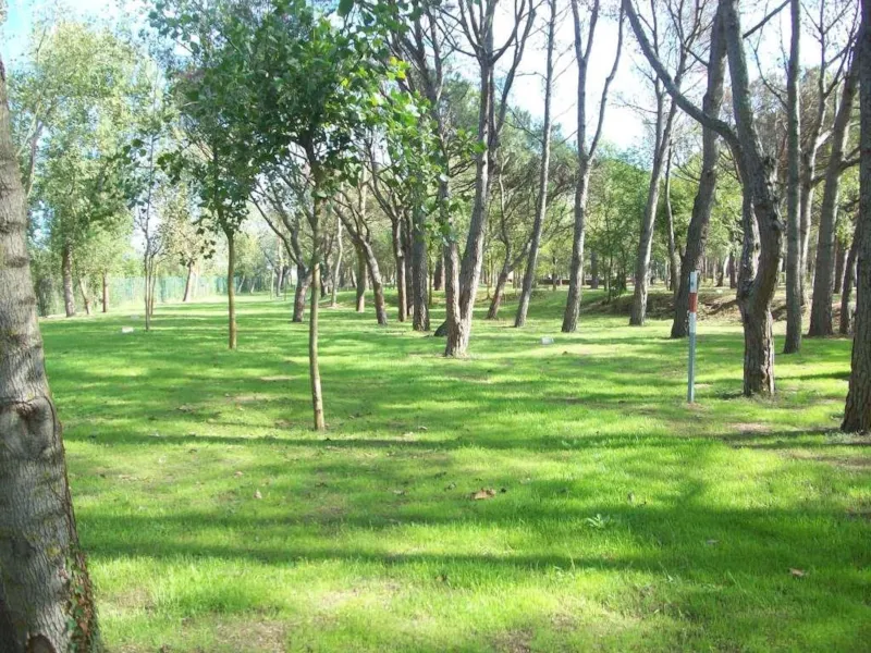 Emplacement Confort (70-75M²): Voiture + Tente/Caravane Ou Camping-Car + Électricité 10A + Wifi