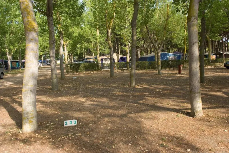 Emplacement Confort (70-75M²): Voiture + Tente/Caravane Ou Camping-Car + Électricité 10A + Wifi