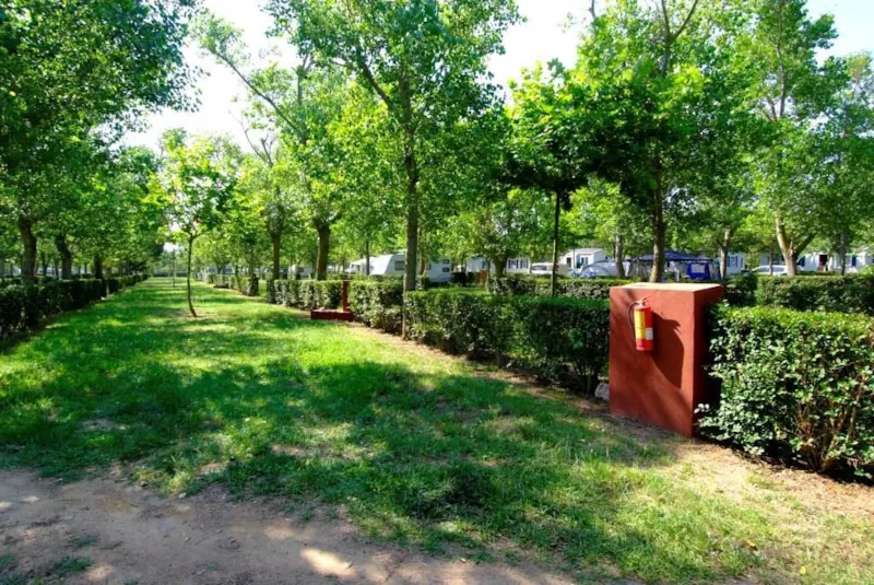 Emplacement Master (85M²): Voiture + Tente/Caravane Ou Camping-Car + Électricité 10A + Eau Et Évacuation Des Eaux Usées + + Wifi