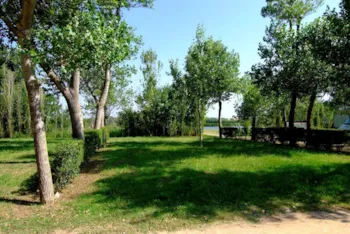 Stellplatz - Stellplatz Master Xl (120M²): Auto + Zelt/Wohnwagen Oder Wohnmobil + Strom + Wasser + Wlan - Camping & Bungalows Platja Brava