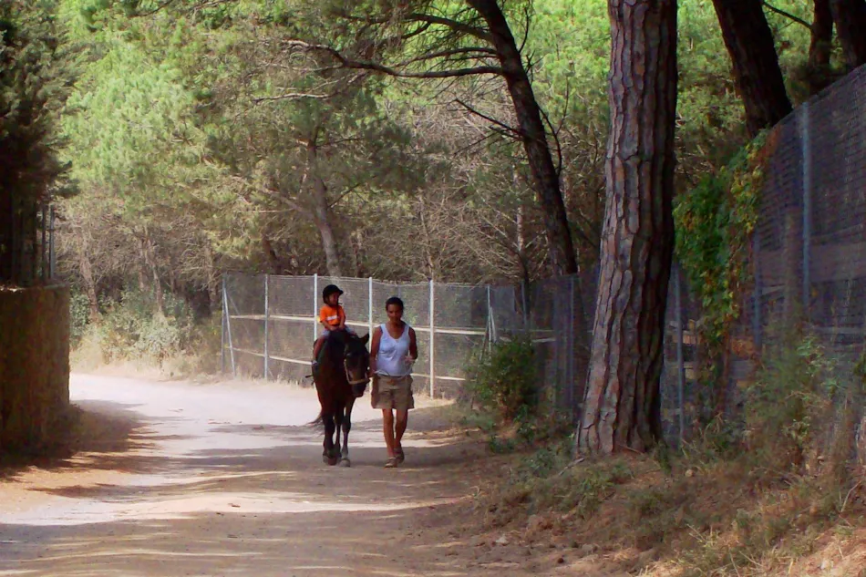 Camping & Bungalows Platja Brava