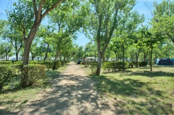 Stellplatz - Stellplatz Master (85M²): Auto + Zelt/Wohnwagen Oder Wohnmobil + Strom + Wasser + Wlan - Camping & Bungalows Platja Brava