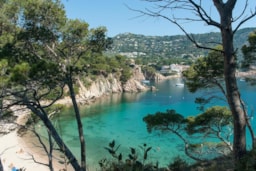 Camping & Bungalows Platja Brava - image n°25 - Roulottes