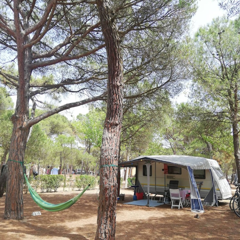 Standplaats Confort (70-75m²): auto + tent / caravan of kampeerauto + elektriciteit 10A + WIFI