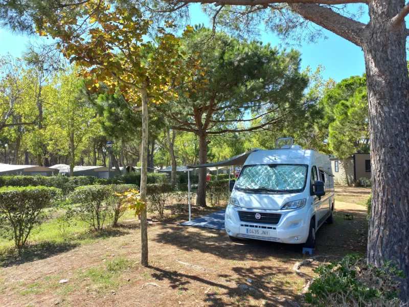 Emplacement Master (85M²): Voiture + Tente/Caravane Ou Camping-Car + Électricité 10A + Eau Et Évacuation Des Eaux Usées + + Wifi