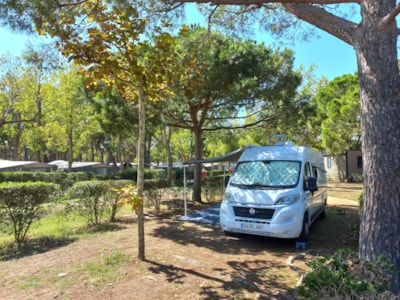 Pitch Master (85m²): car + tent/caravan or camping-car + electricity + water + wifi — 2
