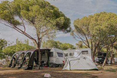 Pitch Master + (115m²): car + tent/caravan or camping-car + electricity 10A + water + wifi — 1