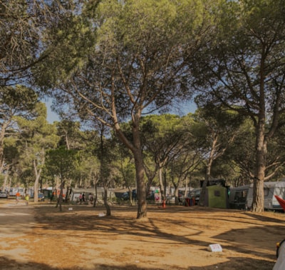 Pitch Master + (115m²): car + tent/caravan or camping-car + electricity 10A + water + wifi — 2