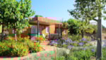 Bungalow Resort Bungalow Resort