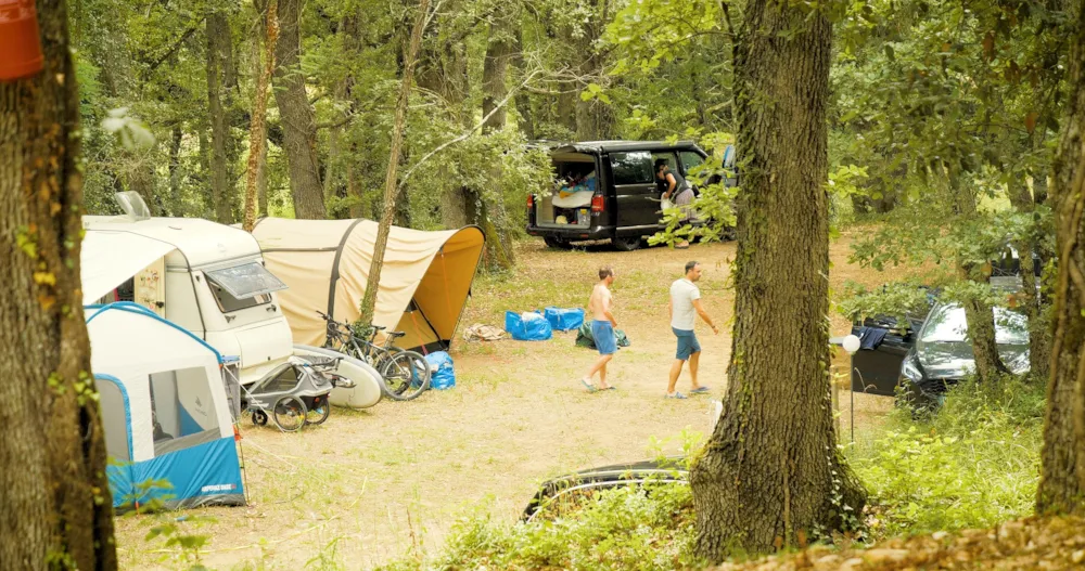 Emplacement Confort  sous des chênes (1 tente, caravane / 1 voiture)  Côté Bois + électricité