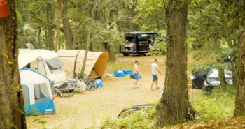 Stellplatz - Stellplatz (Zelt, Wohnwagen / 1 Auto) An Kiefernwald Gelegen + Strom - Camping  & Aire Naturelle Le Mas de Rome