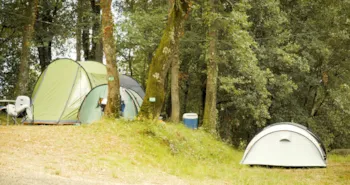 Stellplatz - Stellplatz (Zelt, Wohnwagen / 1 Auto) An Kiefernwald Gelegen - Camping  & Aire Naturelle Le Mas de Rome
