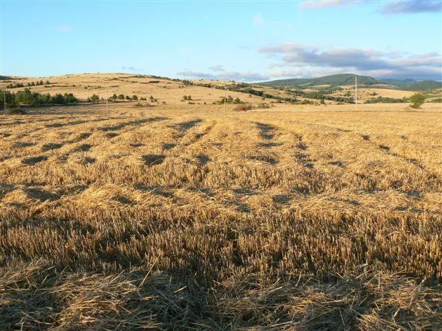 Domaine de Pradines - image n°37 - UniversalBooking