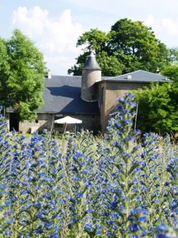 Mietunterkunft - Ferienhaus - Asphodèle 2 Zimmer - Domaine de Pradines