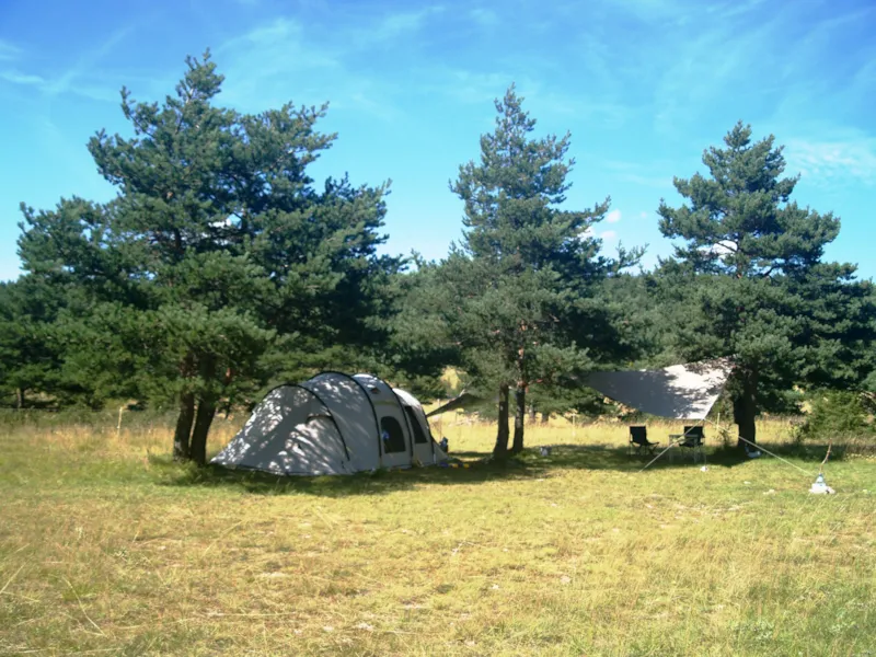 Emplacement : Voiture + Tente/Caravane Ou Camping-Car