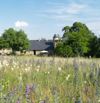 Mietunterkunft - Unterkünfte - Domaine de Pradines