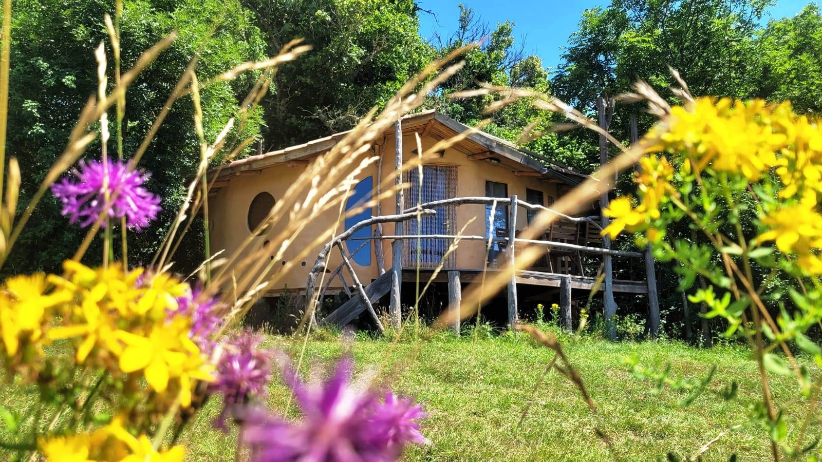 Domaine de Pradines — Photo 3
