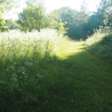 Foto #7 van Domaine de Pradines