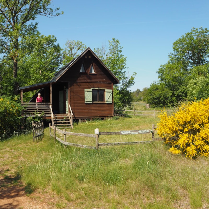 Chalet Sapin 54m² n°66