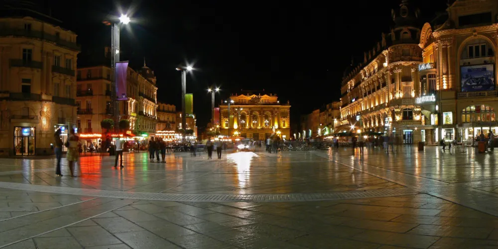 Flower Camping Le Fou du Roi - image n°22 - UniversalBooking